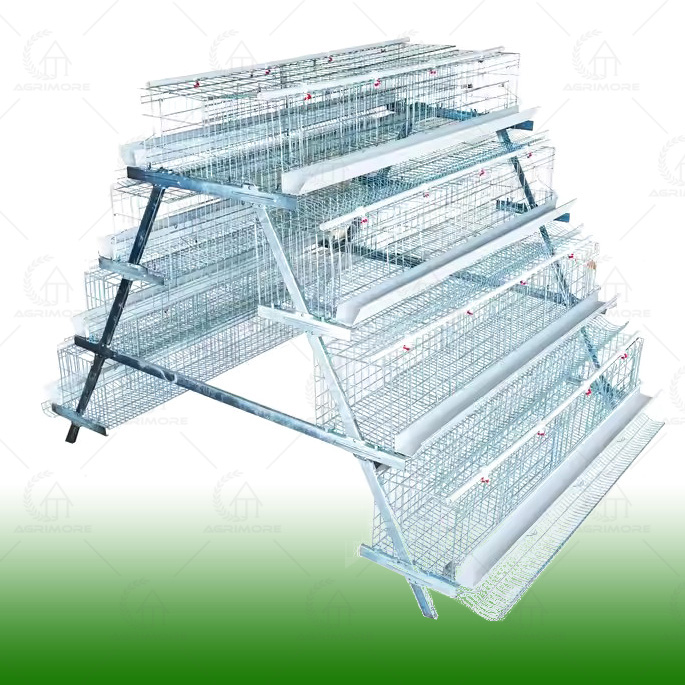 Type A Egg Laying Hens Chicken Cages Automatic Farming Equipment