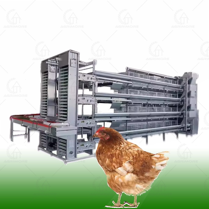 Automated Breeding Cages For Laying Hens