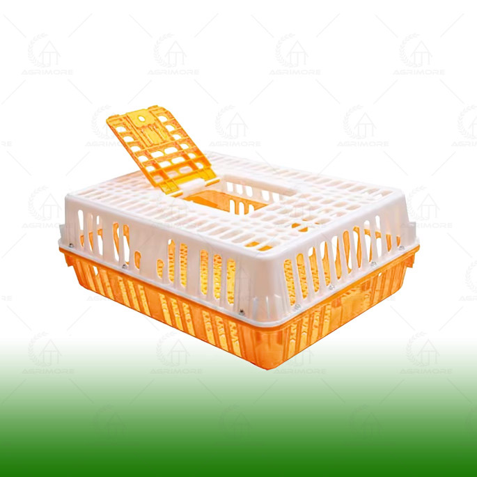 Plastic Chicken Crate Egg Tray For Packing And Transportation